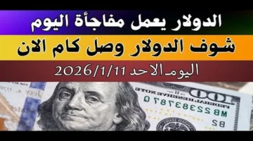 تحديثات الصرف.. سعر الدولار الأسترالي في البنوك المصرية خلال تعاملات 11 يناير 2026